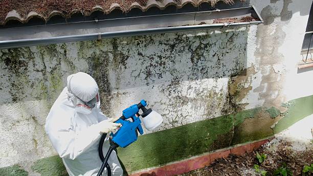 Trusted Mold Remediation service in Mount Airy, GA - Cheap Mold Removal
